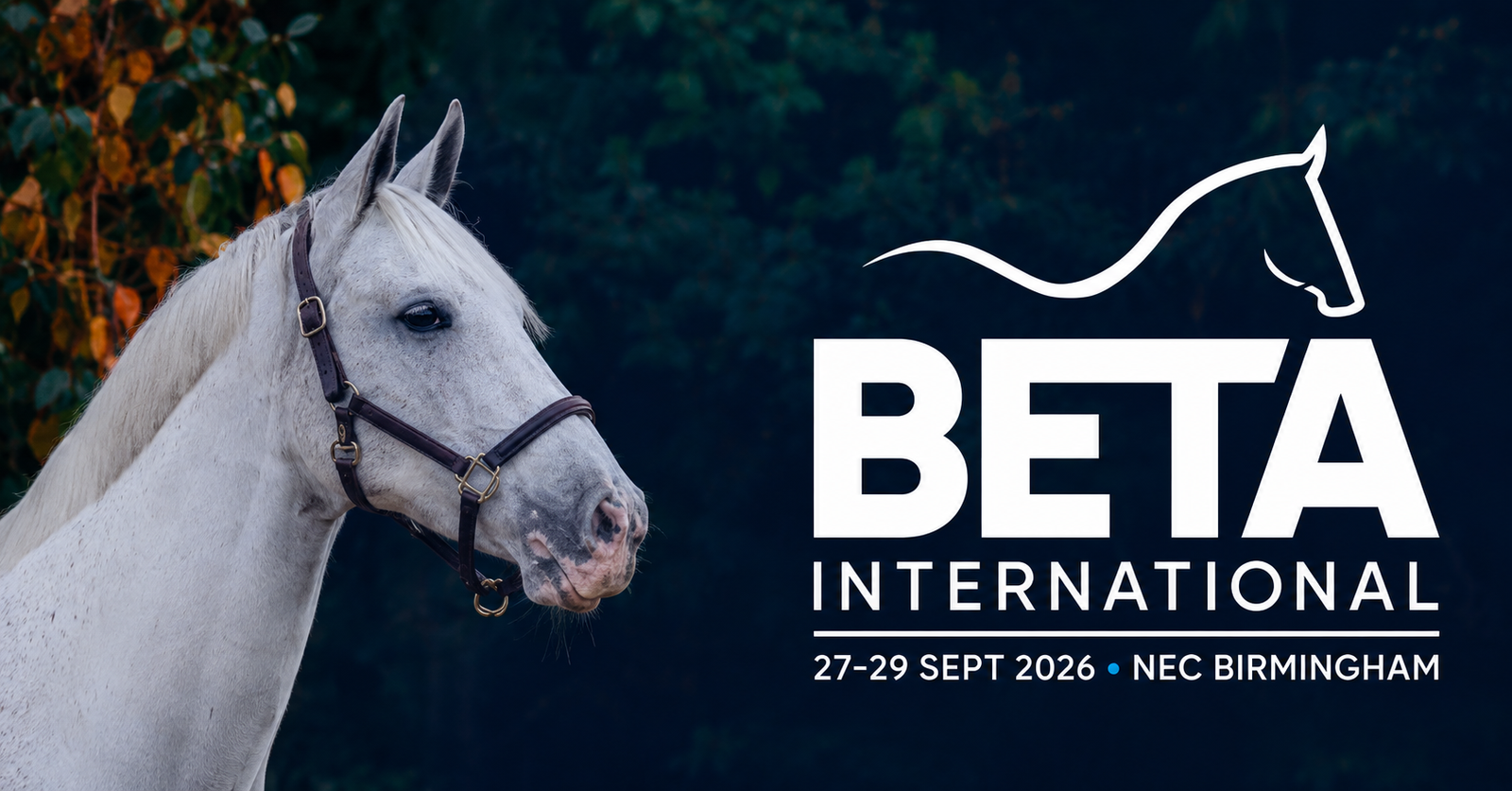 BETA International 2026